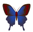 borboleta em inglês