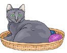 gato em inglês