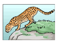 A leopard can't change its spots