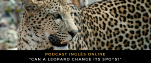 Inglês - Podcast Can a leopard change its spots