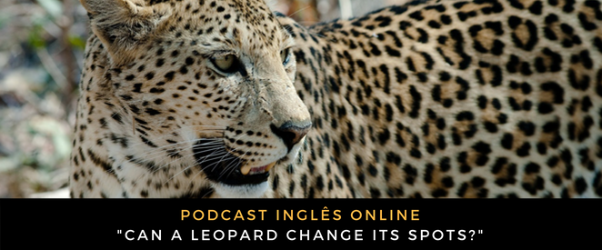 Inglês - Podcast Can a leopard change its spots