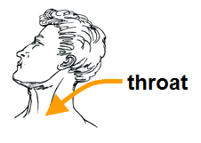 throat