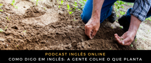 Como digo em inglês A gente colhe o que planta