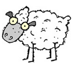 ingles-sheep