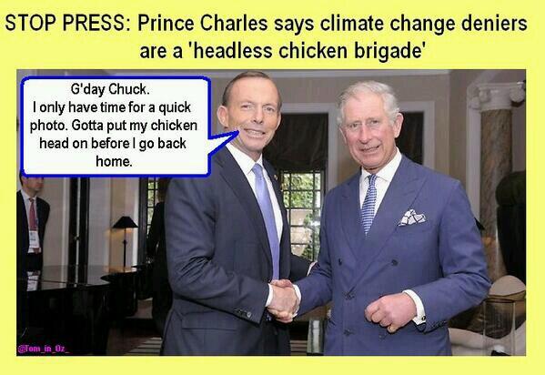 inglês: headless chicken