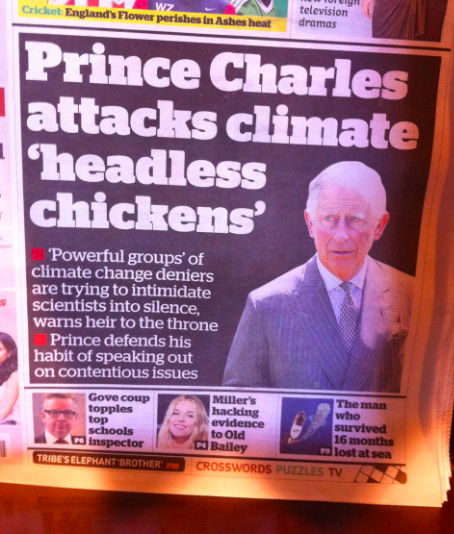 inglês: headless chicken