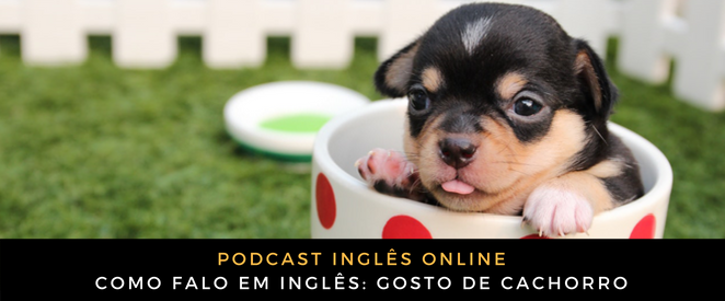 Como falo em inglês Gosto de cachorro