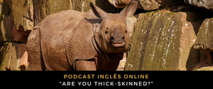 Inglês - Podcast Are you thick-skinned