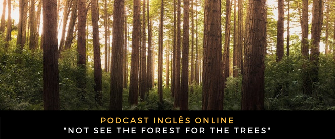 Inglês Online Not see the forest for the trees