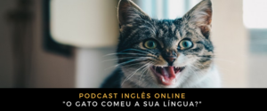 Inglês Online O gato comeu a sua língua