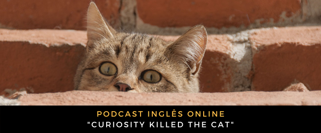 Inglês - Podcast Curiosity killed the cat